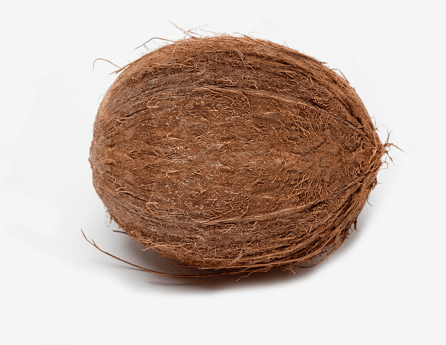 Naariyal (Coconut)