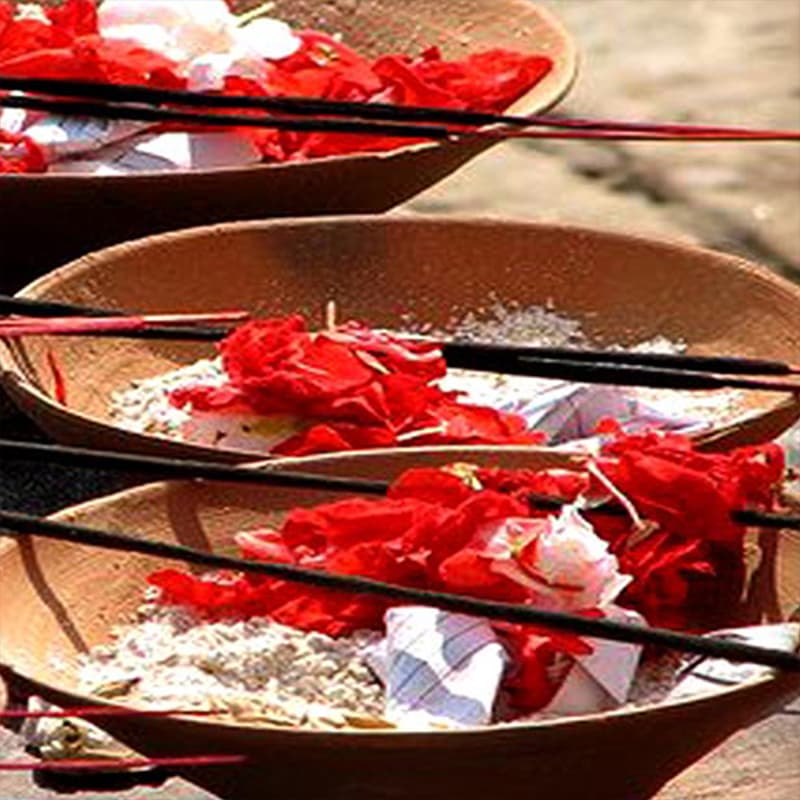 Premium Pitru Shanti Package