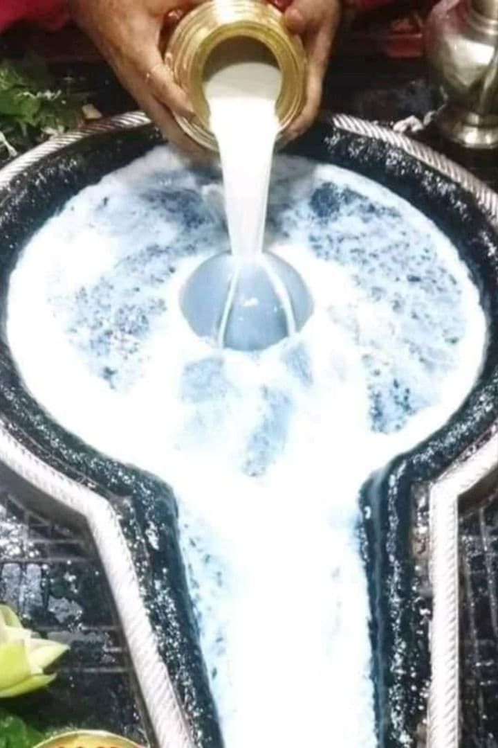 Dudh Abhishek Seva